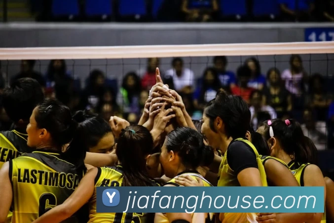 华体会体育APP 高清赛事图